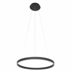 Luminaires Steinhauer Éclairage Led|Suspension Steinhauer Ringlux LED Noir, 2 lumières