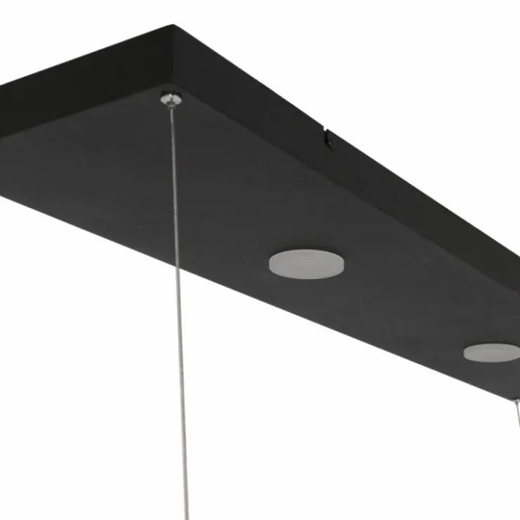 Luminaires Steinhauer Suspensions|Suspension Steinhauer Tør LED Noir, 6 lumières