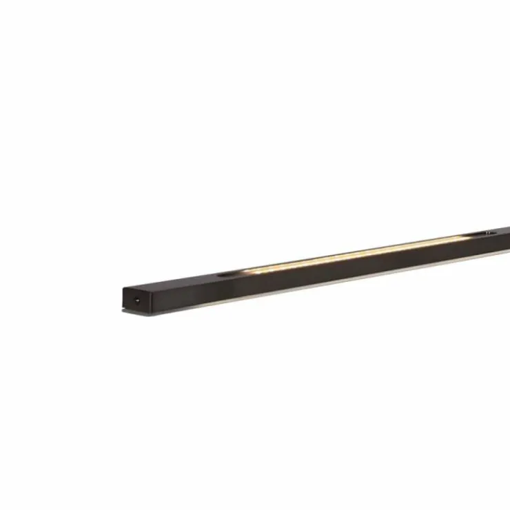 Luminaires Steinhauer Éclairage Led|Suspension Steinhauer Zelena LED Noir, 1 lumière