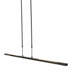 Luminaires Steinhauer Éclairage Led|Suspension Steinhauer Zelena LED Noir, 1 lumière