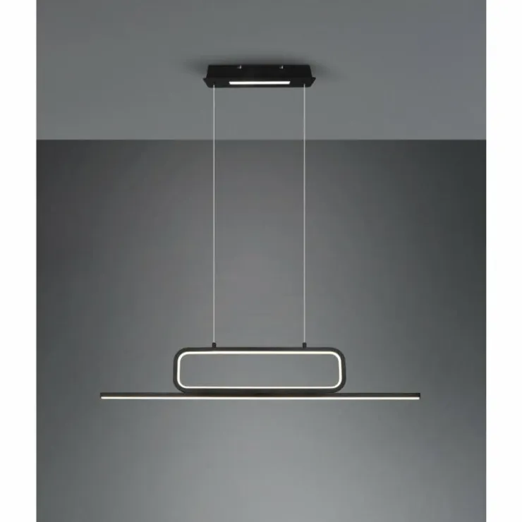 Luminaires Trio Suspensions|Suspension Trio Aick LED Noir, 1 lumière