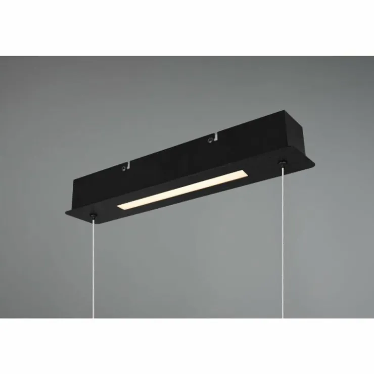 Luminaires Trio Suspensions|Suspension Trio Aick LED Noir, 1 lumière
