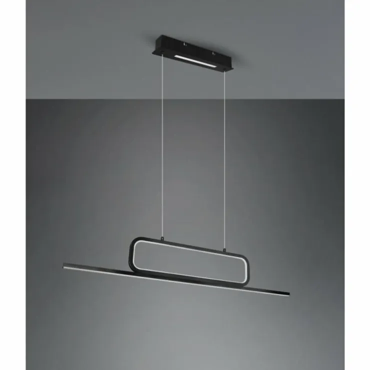 Luminaires Trio Suspensions|Suspension Trio Aick LED Noir, 1 lumière
