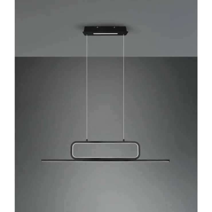 Luminaires Trio Suspensions|Suspension Trio Aick LED Noir, 1 lumière