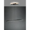 Luminaires Trio Éclairage Led|Suspension Trio Belfast LED Noir, 1 lumière