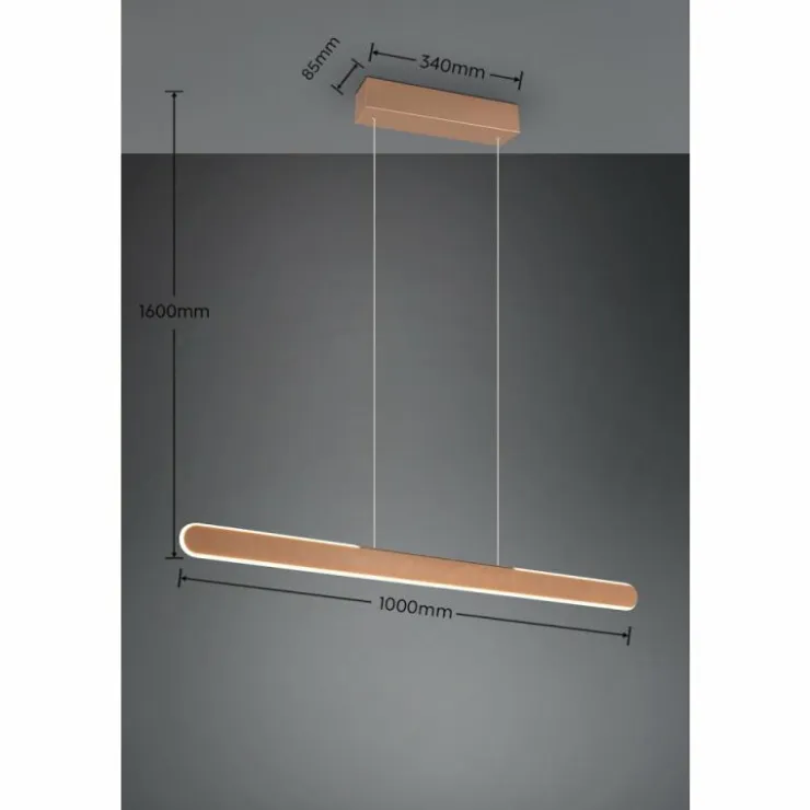Luminaires Trio Éclairage Led|Suspension Trio HELIOS LED Brun, 1 lumière