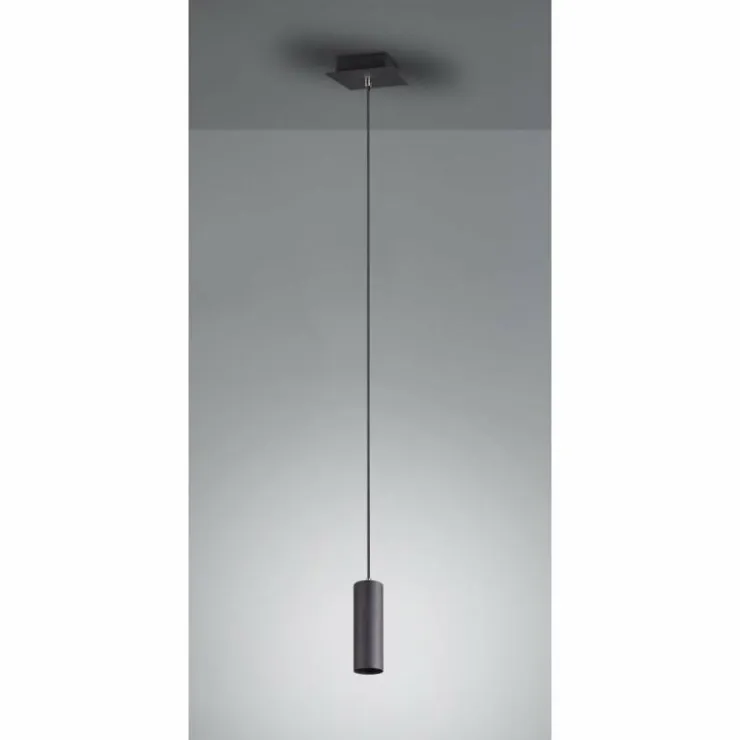 Luminaires Trio Suspensions|Suspension Trio Leuchten MARLEY Noir, 1 lumière