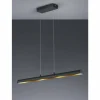 Luminaires Trio Suspensions|Suspension Trio RAMIRO LED Noir, 4 lumières