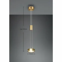 Luminaires Trio Éclairage Led|Suspension Trio-Leuchten Franklin LED Laiton, 1 lumière