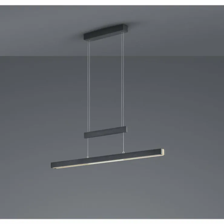 Luminaires Trio Éclairage Led|Suspension Trio-Leuchten Trajan LED Noir, 1 lumière
