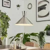 hofstein Suspensions|Suspension Vijes Nickel mat, 1 lumière