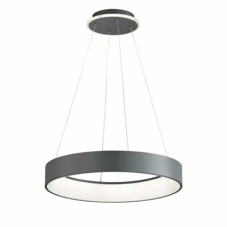 Luminaires Wofi Éclairage Led|Suspension Wofi-Leuchten SHAY LED Gris, 1 lumière