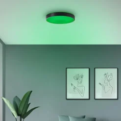 Vadin Plafonnier Luminaires Brilliant LED Noir, 1 lumière, Télécommandes