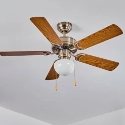 Ventilateur de plafond Apiao Brun, Brun clair, Couleur bois, Argenté, 1 lumière