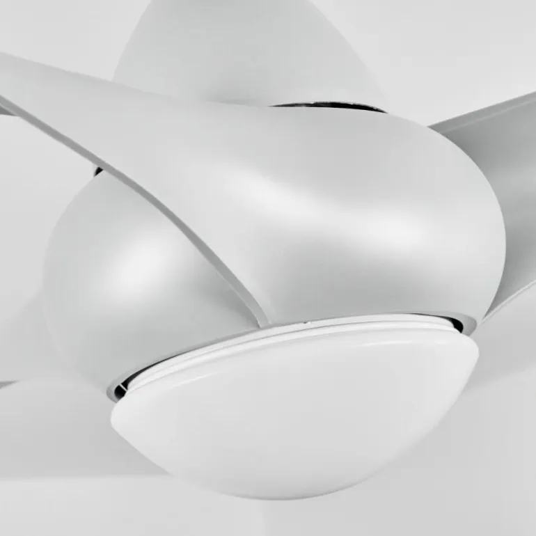 Ventilateur de plafond Malloa LED Titane, 1 lumière, Télécommandes