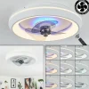 Ventilateur de plafond Tirkkala LED, 1 lumière