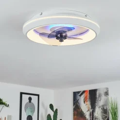 Ventilateur de plafond Tirkkala LED, 1 lumière
