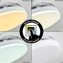 Ventilateur de plafond Bendigo LED Chrome, Transparent, Blanc, 1 lumière