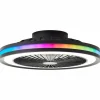 Ventilateur de plafond Brilliant Palmero Noir, 1 lumière, Télécommandes, Changeur de couleurs
