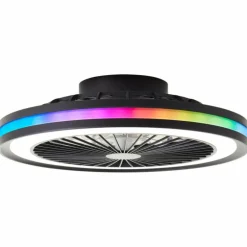 Ventilateur de plafond Brilliant Palmero Noir, 1 lumière, Télécommandes, Changeur de couleurs