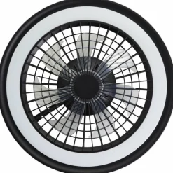 Ventilateur de plafond Brilliant Palmero Noir, 1 lumière, Télécommandes, Changeur de couleurs