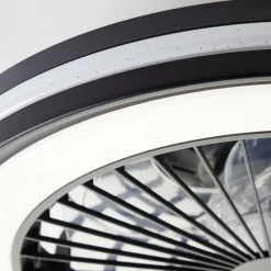 Ventilateur de plafond Brilliant Palmero Noir, 1 lumière, Télécommandes, Changeur de couleurs