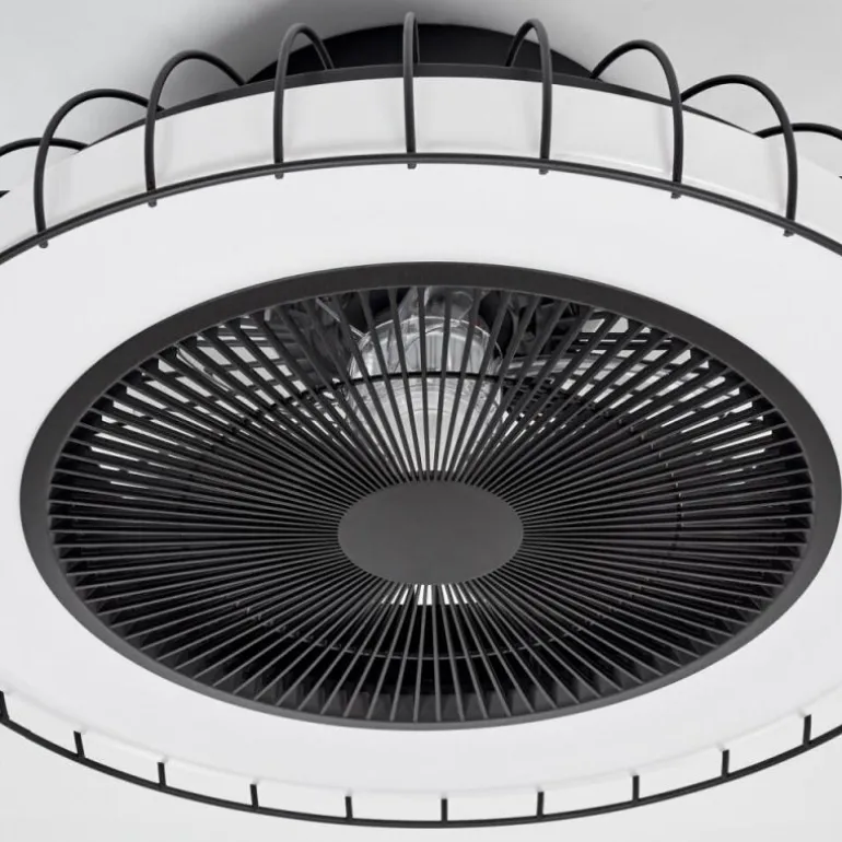 Ventilateur de plafond Burmeister LED Noir, 1 lumière, Télécommandes