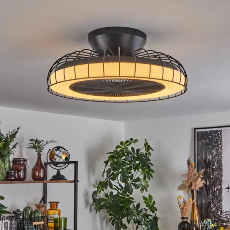 Ventilateur de plafond Burmeister LED Noir, 1 lumière, Télécommandes
