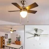 Ventilateur de plafond Ellmau Chrome, Gris, Blanc, 1 lumière