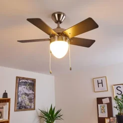 Ventilateur de plafond Ellmau Chrome, Gris, Blanc, 1 lumière