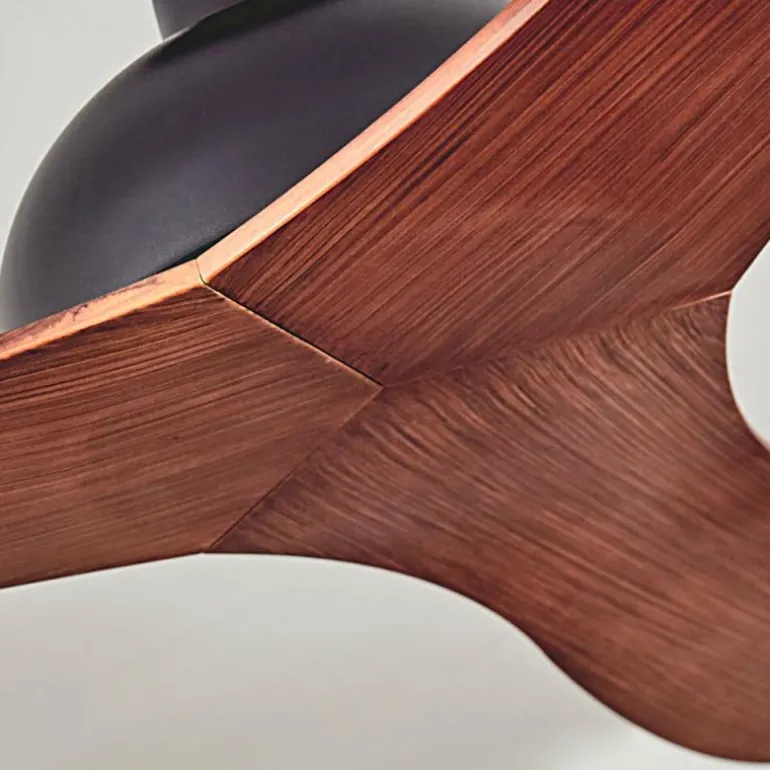 Ventilateur de plafond Follseland Brun, Couleur bois, Noir
