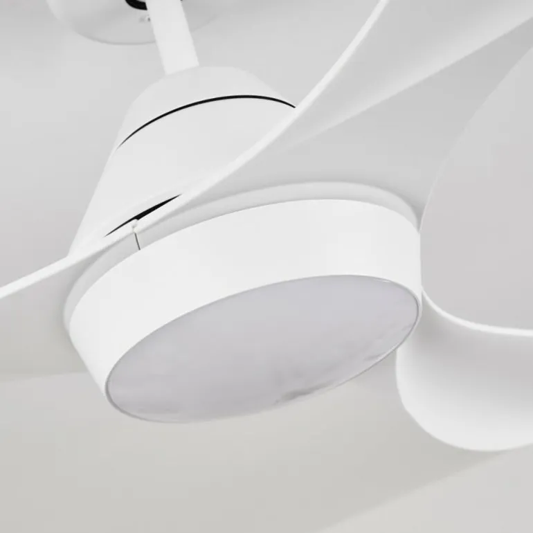 Ventilateur de plafond Follseland LED Blanc, 1 lumière, Télécommandes