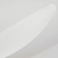 Ventilateur de plafond Follseland LED Blanc, 1 lumière, Télécommandes