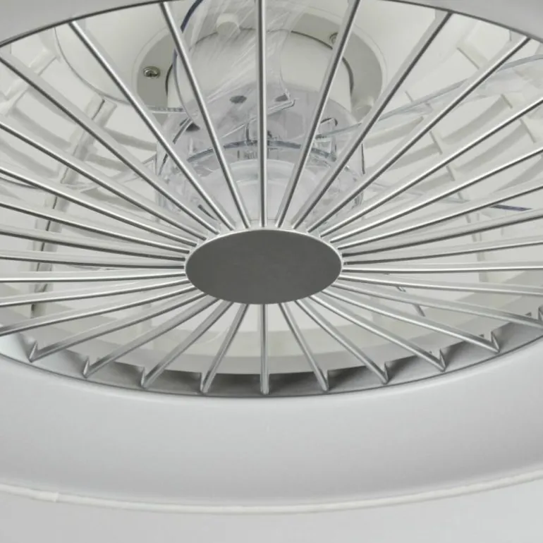 Ventilateur de plafond Moli LED Blanc, 1 lumière, Télécommandes