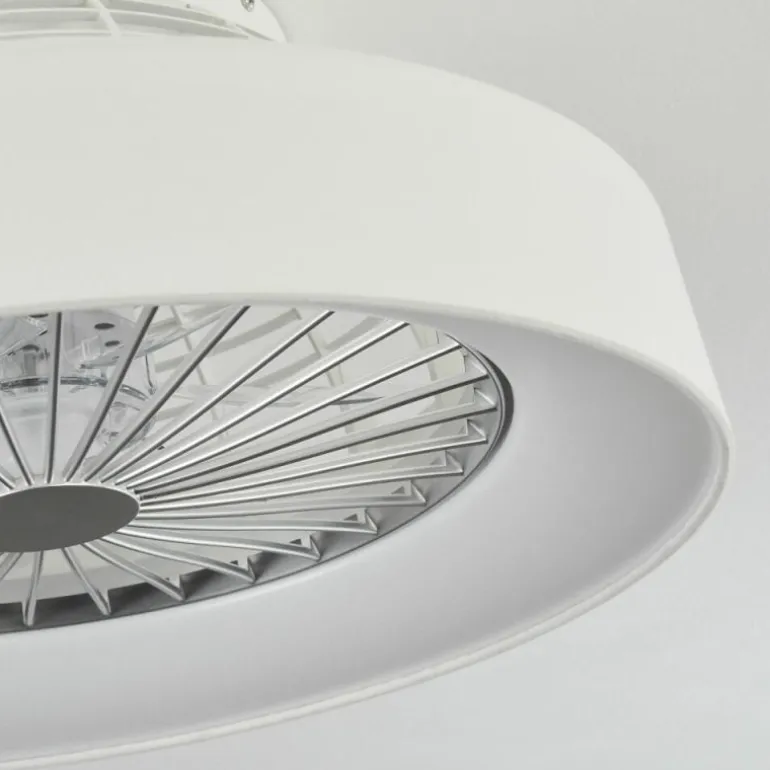 Ventilateur de plafond Moli LED Blanc, 1 lumière, Télécommandes