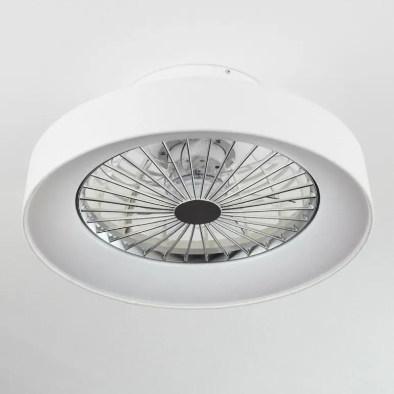 Ventilateur de plafond Moli LED Blanc, 1 lumière, Télécommandes