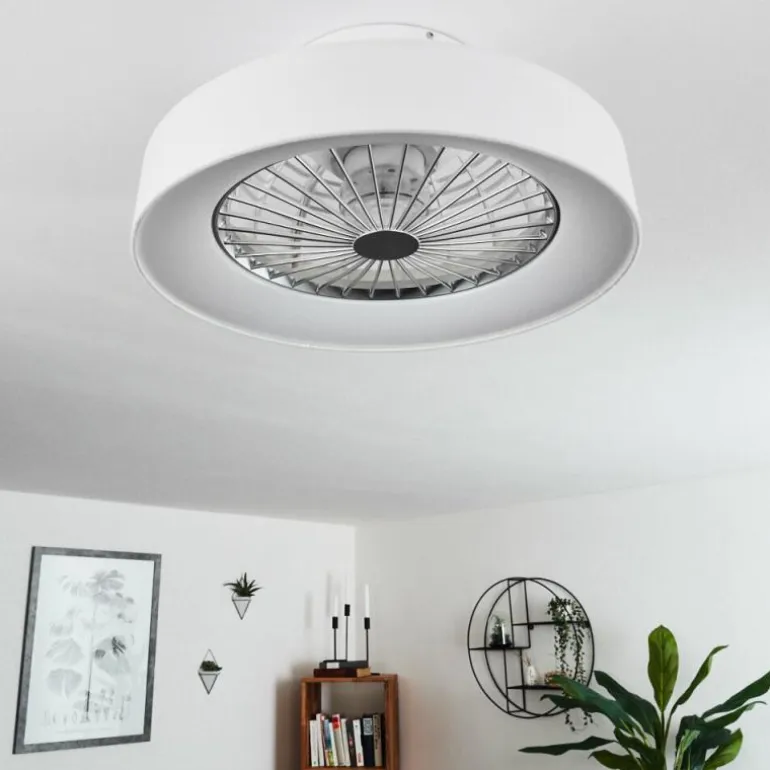 Ventilateur de plafond Moli LED Blanc, 1 lumière, Télécommandes
