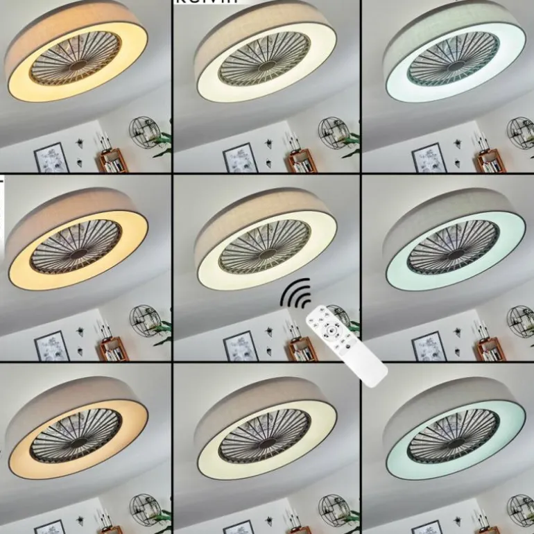 Ventilateur de plafond Moli LED Gris, Blanc, 1 lumière, Télécommandes