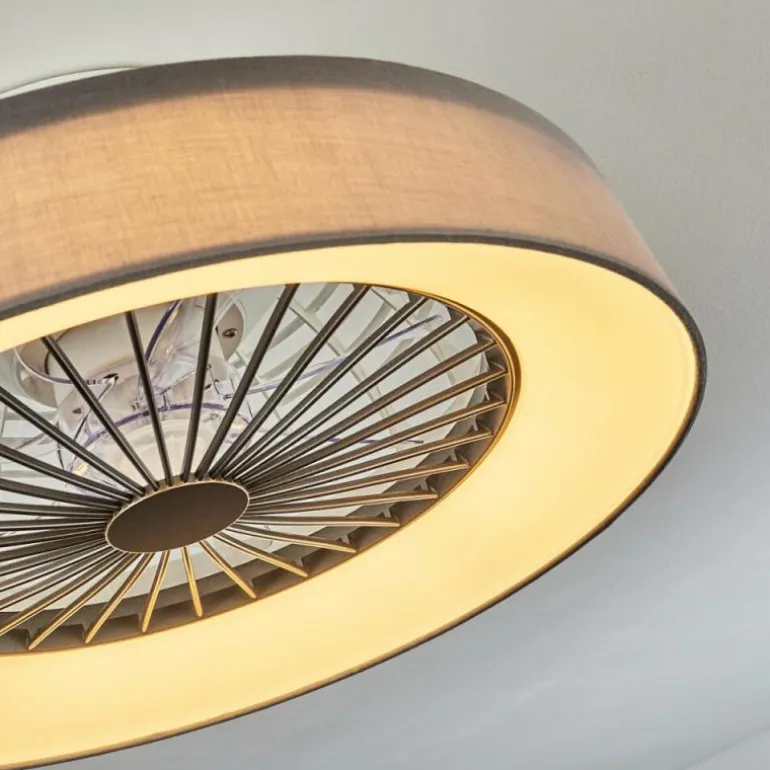 Ventilateur de plafond Moli LED Gris, Blanc, 1 lumière, Télécommandes