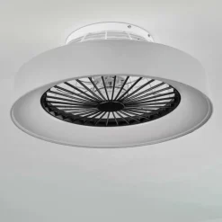 Ventilateur de plafond Moli LED Gris, Blanc, 1 lumière, Télécommandes