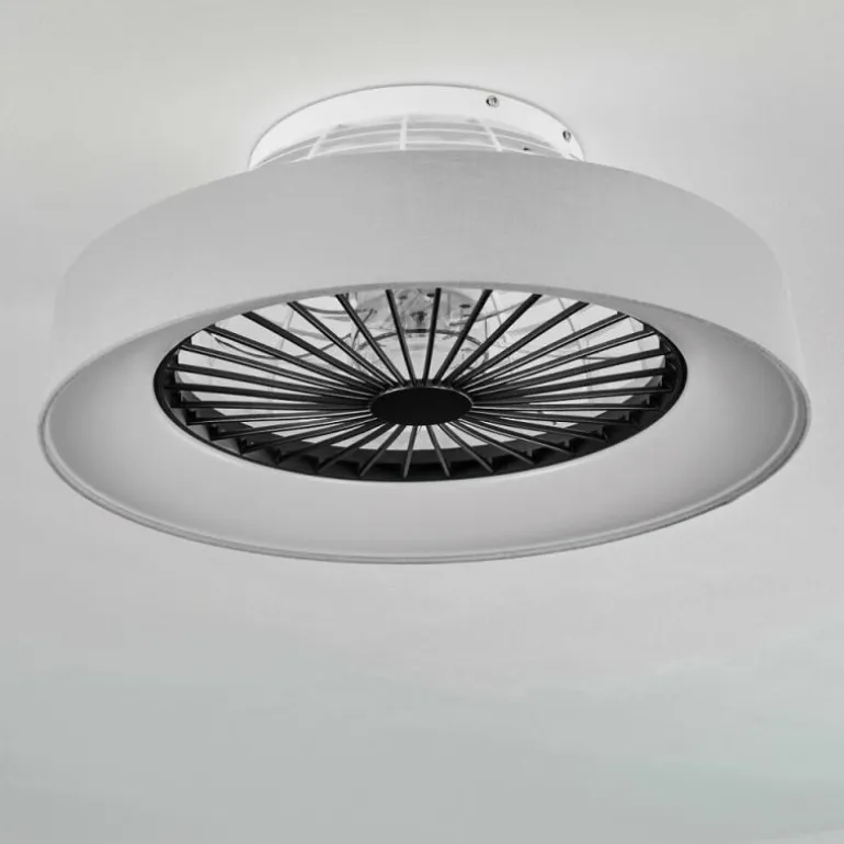 Ventilateur de plafond Moli LED Gris, Blanc, 1 lumière, Télécommandes