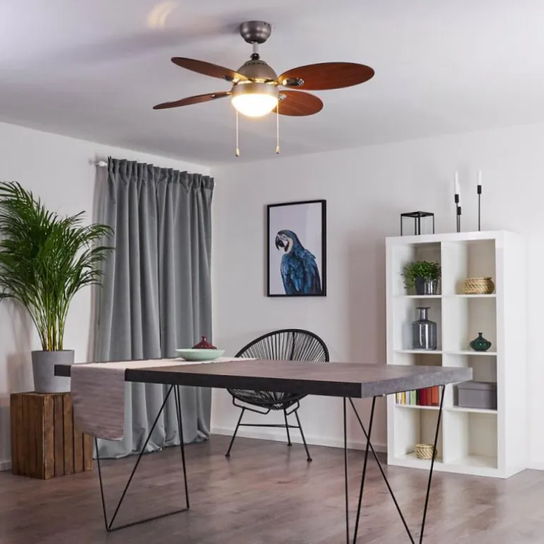 Ventilateur de plafond Nicosia Bois foncé, Nickel mat, 1 lumière