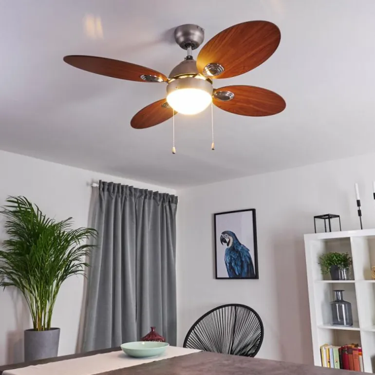Ventilateur de plafond Nicosia Bois foncé, Nickel mat, 1 lumière