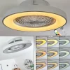 Ventilateur de plafond Penon LED Argenté, 1 lumière, Télécommandes