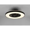 Ventilateur de plafond Reality Halmstad LED Noir, 1 lumière, Télécommandes
