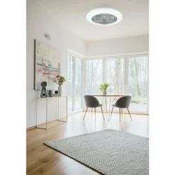 Ventilateur de plafond Reality Stralsund LED Titane, 2 lumières, Télécommandes