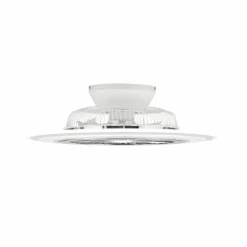Ventilateur de plafond Reality Flaga LED Blanc, 1 lumière, Télécommandes