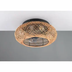 Ventilateur de plafond Reality LILLESAND Noir, 4 lumières, Télécommandes