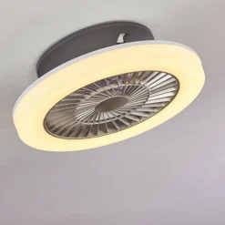 Ventilateur de plafond Somalia LED Argenté, Transparent, 1 lumière