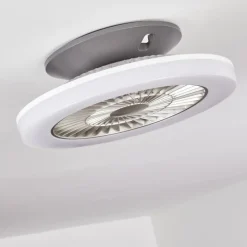 Ventilateur de plafond Somalia LED Argenté, Transparent, 1 lumière